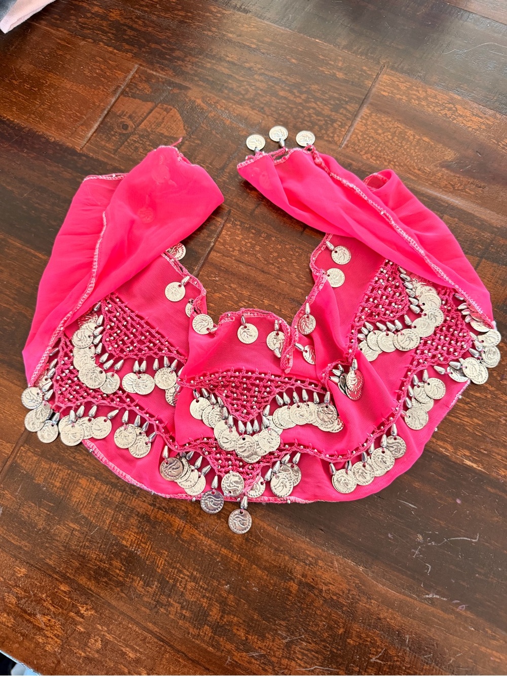 👚CLOSET CLEAN OUT SALE👖Toddler Pink Coin Fringe Belly Dance Skirt